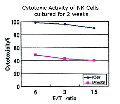 Cytotoxic-Activity-of-NK-Cells.jpg