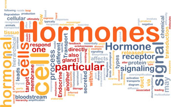 hormones