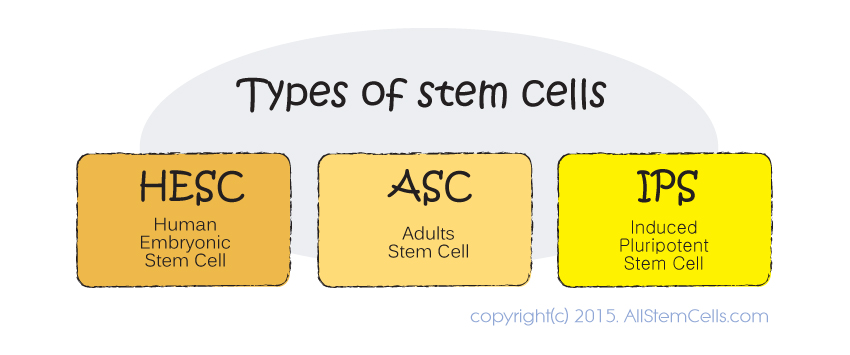 types_of_stem_cells
