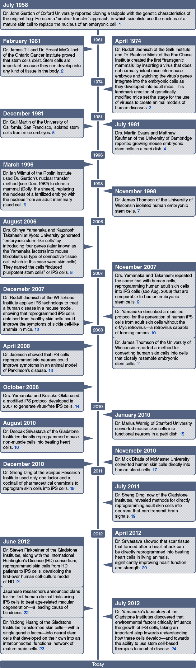 stem_cell_timeline