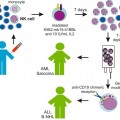 암 면역치료를 위한 NK세포 배양 활성화