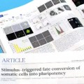 The Fabricated Stem cells Research Paper in 2014