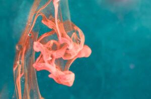 3D-Printed Islets Offer New Hope for Insulin-Free Diabetes Treatment